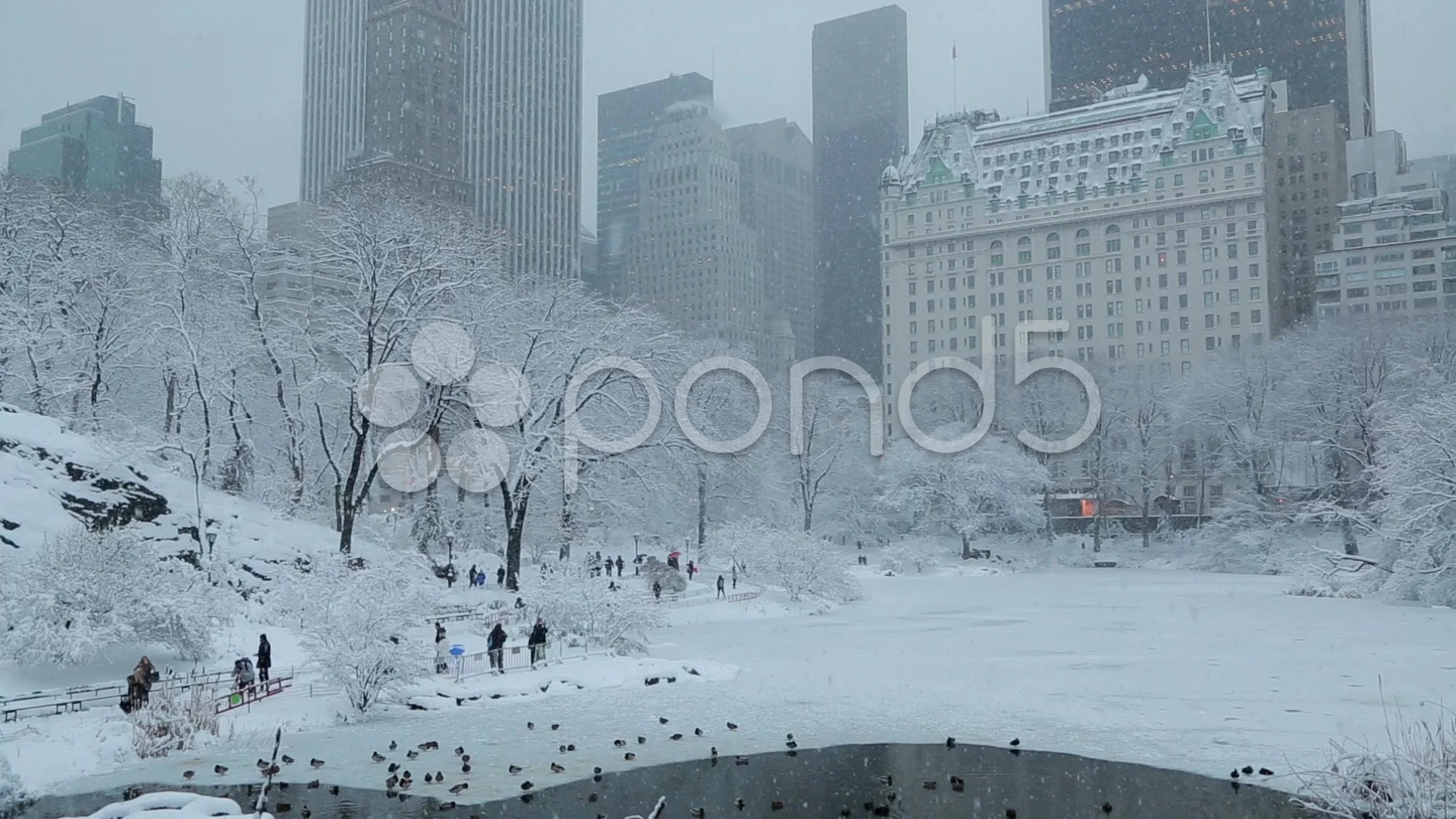 Central Park in New York City in snow ma... | Stock Video | Pond5