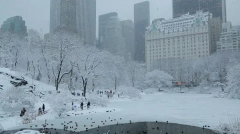 Central Park in New York City in snow manhattan skyline Stock Footage