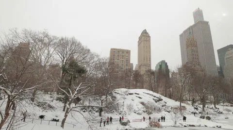 Central Park in New York City in winter snow Stock Footage