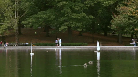 Central Park in New York  Stock Footage 1097516