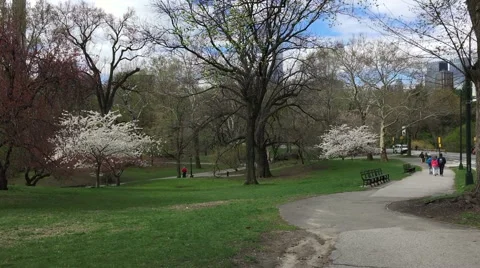Central Park NY Stock Footage 49967202