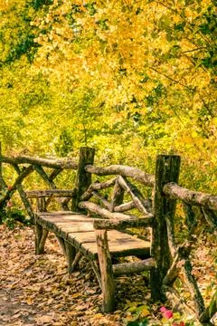 Central park nyc bench Stock Photos