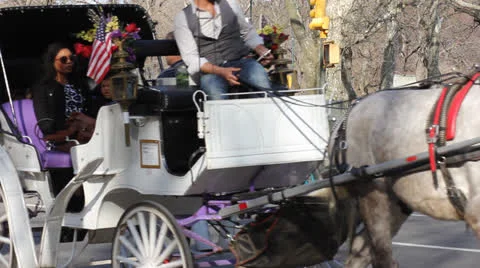 Central Park NYC Early Spring 動画素材 22519435