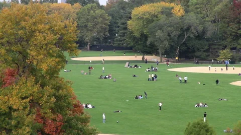 Central Park NYC Stock Footage 40711975