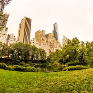 Central Park, NYC Stock Photos