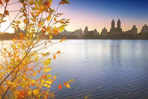 Central Park in NYC Foto stock