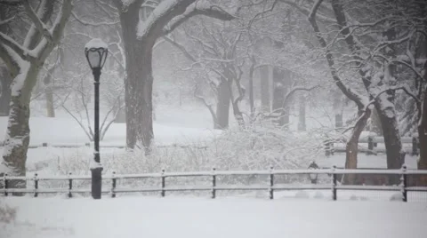Central Park Opening Covered With Snow Vidéo 51936406