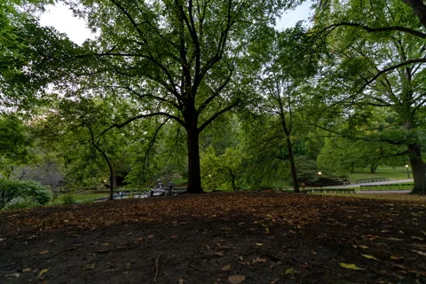 Central Park Panning Timelapse Stock Footage 141617311