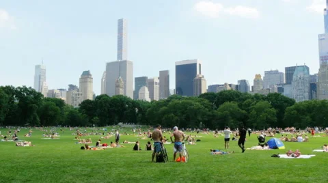 Central park panorama at daytime Stock Footage 53855414