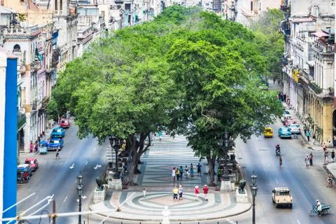 The Central Park (Parque centrale) with trees on both sides, shot from above Stock Photos