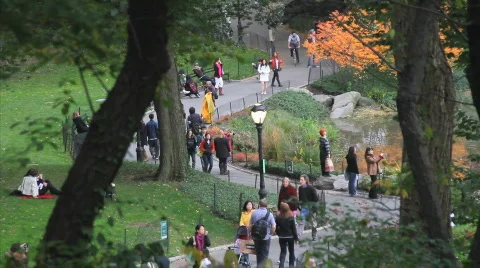 Central Park Path Stock Footage 568194