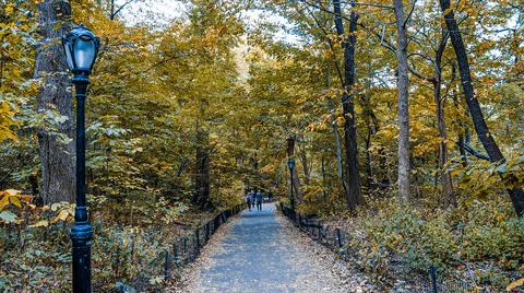 Central Park pathway in the fall Fotos Stock
