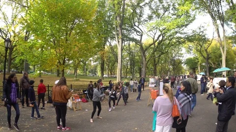Central Park People 動画素材 85366247