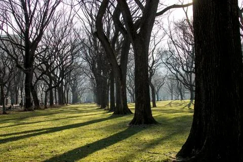 Central Park Stock Photos