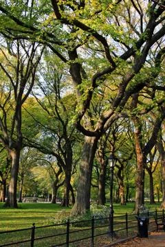 Central Park Stock Photos