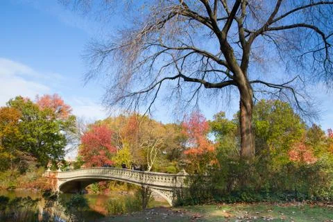 Central park Stock Photos
