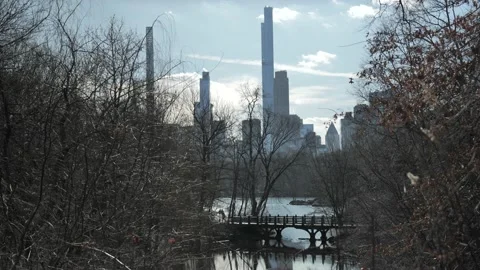 Central Park Pond and Bridge Stock Footage 232161853