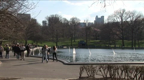 Central Park Pond Stock Footage 455055