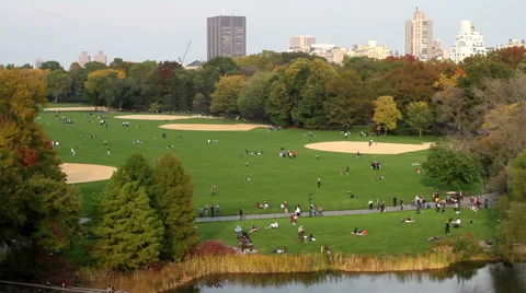 Central Park Pond NYC Stock Footage 40711972