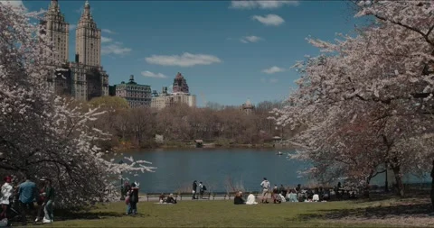Central Park Pond, Spring - NYC Video stock 152350508