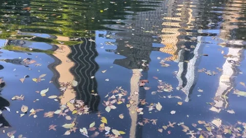 Central Park reflection New York Stock Footage 293229516