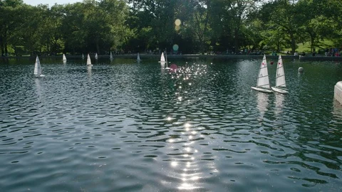 Central Park remote control sailboats 2 Stock Footage 108674819