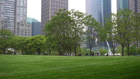 Central Park of Shanghai Video stock 74745268