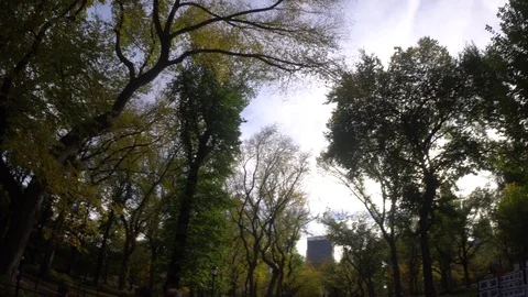 Central Park Sky 動画素材 85366284