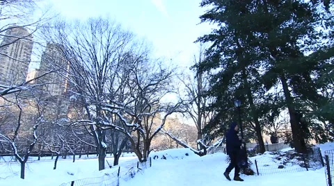 Central Park in snow Stock Footage 54868458
