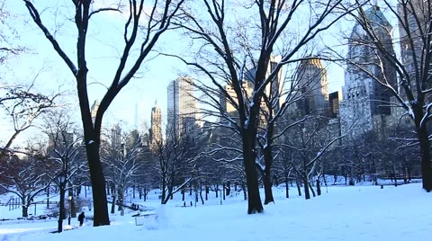Central Park in Snow Stock Footage 54868601