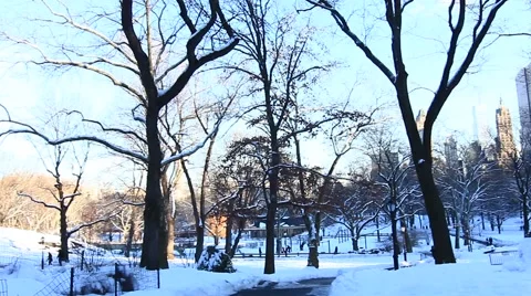 Central Park in Snow Stock Footage 54868849