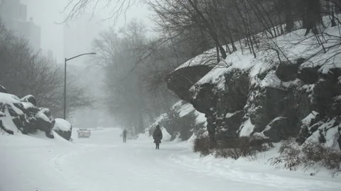 Central Park in Snow 動画素材 330973458