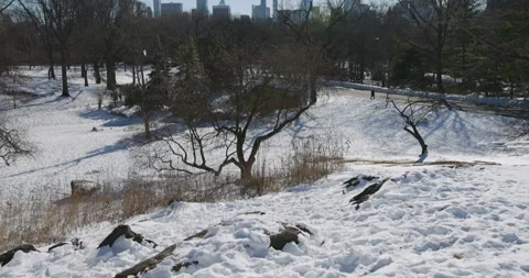 Central Park in Snow Stock Footage 330974997
