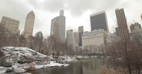 Central Park in Snow in New York City Stock Footage