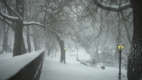 Central Park in Snowstorm Stock Footage 330973030
