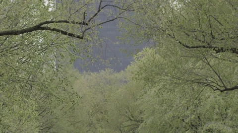 Central Park Spring Stock Footage 25907521