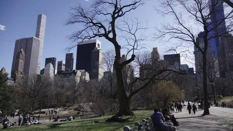 Central Park in spring Video stock 74071508