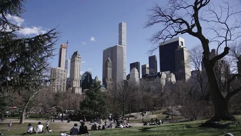 Central Park in spring Video stock 74071558