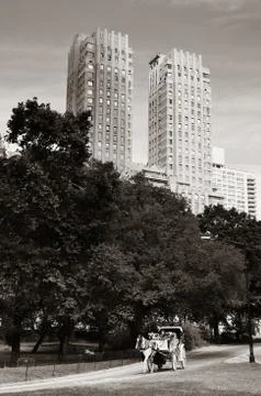 Central Park Spring Fotos de archivo