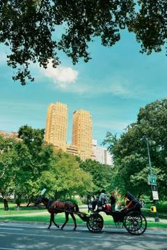 Central Park Spring Fotos de archivo