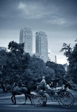 Central Park Spring Fotos de archivo