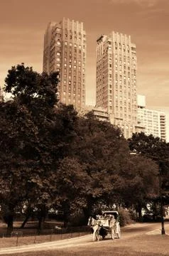 Central Park Spring Fotos de archivo