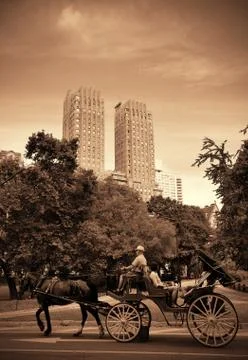 Central Park Spring Fotos de archivo