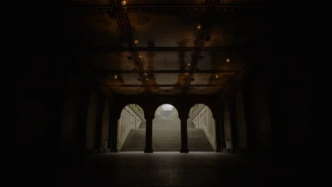 Central Park Stairs Stock Footage 128146724
