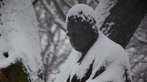Central Park Statue Covered In Snow Stock Footage 51936370