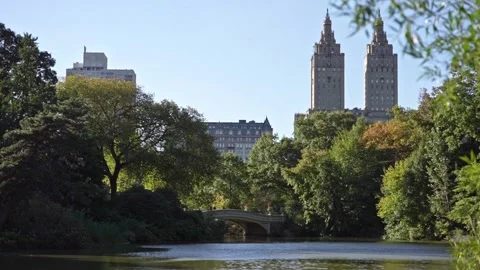 Central park summertime Vidéo 141626980