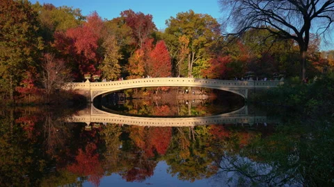 Central Park at sunset with Bow Bridge in autumn. Upper West Side, New York Stock Footage 253485398