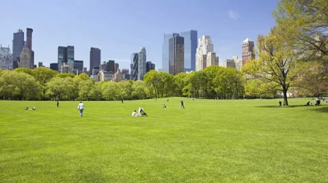 Central Park, Time Lapse 스톡 동영상 7909201