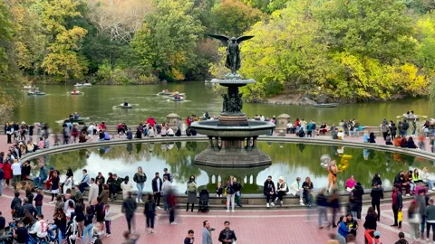 Central Park timelapse Stock Footage 166009100