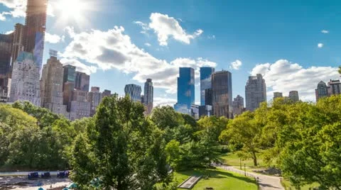 Central Park Trees Видео 12240277